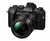 Беззеркальный фотоаппарат Olympus OM-D E-M5 Mark III Kit 12-40mm f/2.8, черный