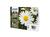 Чорнильний картридж Epson multipack 18XL black/cyan/magenta/yellow (C13T18164012)