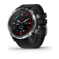 Мультиспортивные часы для дайвинга Garmin Descent Mk2 Stainless Steel with Black Band