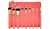 Набор кистей для макияжа ZOEVA Coral Shine Brush Set 9 brushes