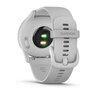 Смарт-годинник Garmin Vivomove Trend Silver Stainless Steel Bezel with Mist Gray Case and Silicone Band