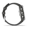Спортивные часы Garmin Fenix 7 Silver with Graphite Band