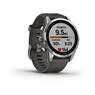Спортивные часы Garmin Fenix 7S Silver with Graphite Band