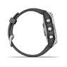 Спортивные часы Garmin Fenix 7S Silver with Graphite Band