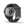 Спортивные часы Garmin Fenix 7S Silver with Graphite Band