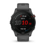 Спортивные часы Garmin Forerunner 255 Slate Gray