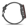 Спортивные часы Garmin Forerunner 255 Slate Gray