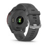 Спортивные часы Garmin Forerunner 255 Slate Gray