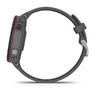 Спортивные часы Garmin Forerunner 255 Slate Gray