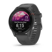 Спортивные часы Garmin Forerunner 255 Slate Gray
