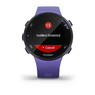 Спортивные часы Garmin Forerunner 45s Iris