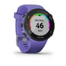 Спортивные часы Garmin Forerunner 45s Iris