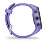 Спортивные часы Garmin Forerunner 45s Iris
