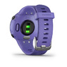 Спортивные часы Garmin Forerunner 45s Iris
