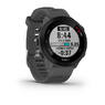 Спортивные часы Garmin Forerunner 55 Monterra Grey