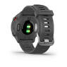 Спортивные часы Garmin Forerunner 55 Monterra Grey