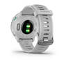 Спортивные часы Garmin Forerunner 55 White