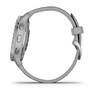 Спортивные часы Garmin Venu 2 Plus Silver Stainless Steel Bezel with Powder Gray Case and Silicone Band