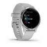 Спортивные часы Garmin Venu 2S Silver Stainless Steel Bezel with Mist Gray Case and Silicone Band