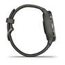 Спортивные часы Garmin Venu 2S Slate Stainless Steel Bezel with Graphite Case and Silicone Band